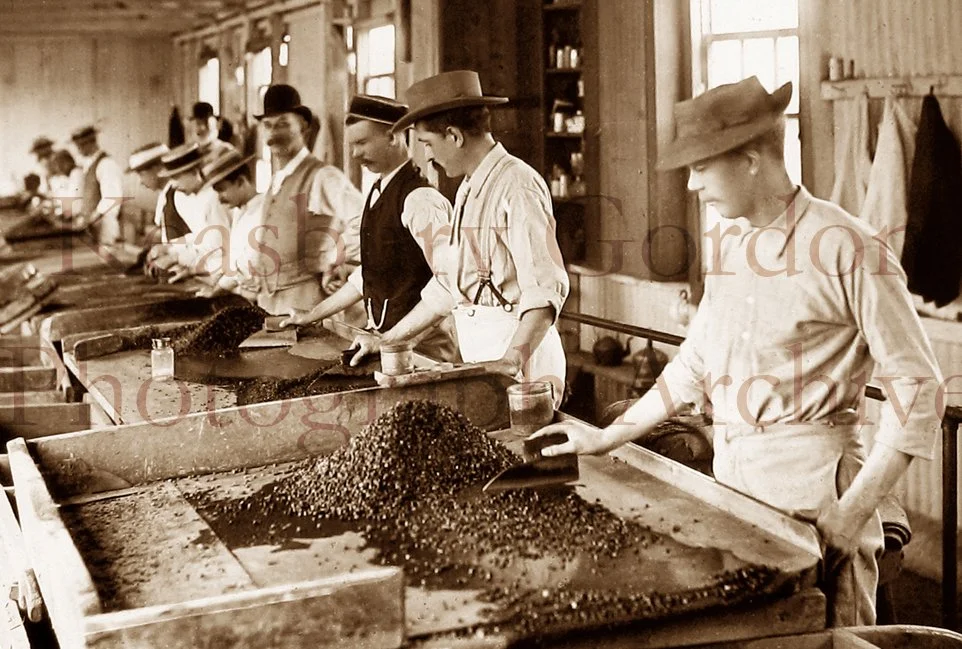 web_11C Africa Kimberley De Beers Diamond mine searching tables.jpg