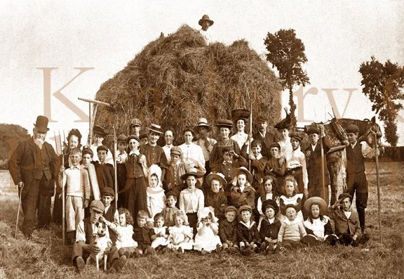 web_9D Haymaking.jpg