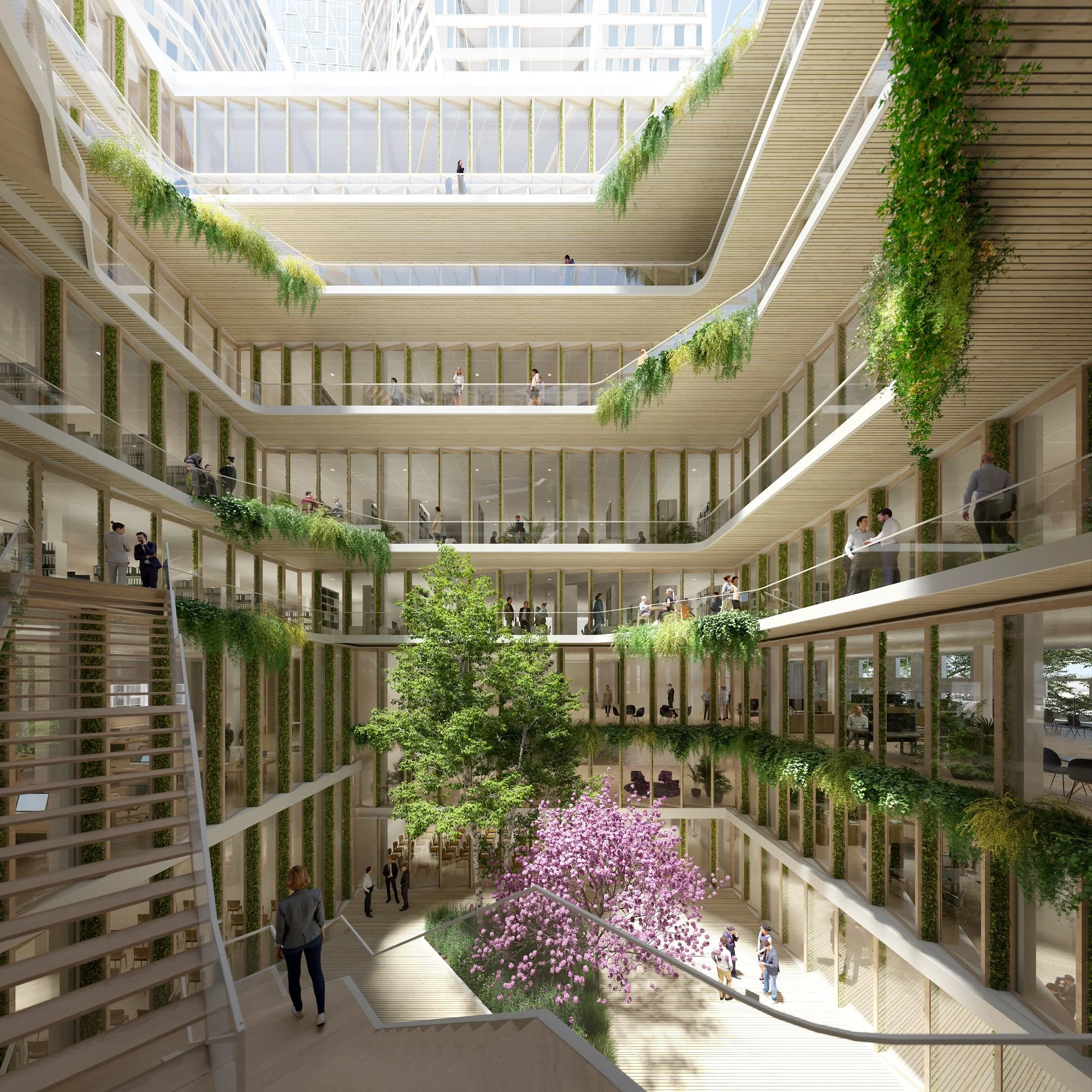 archi2.jpg