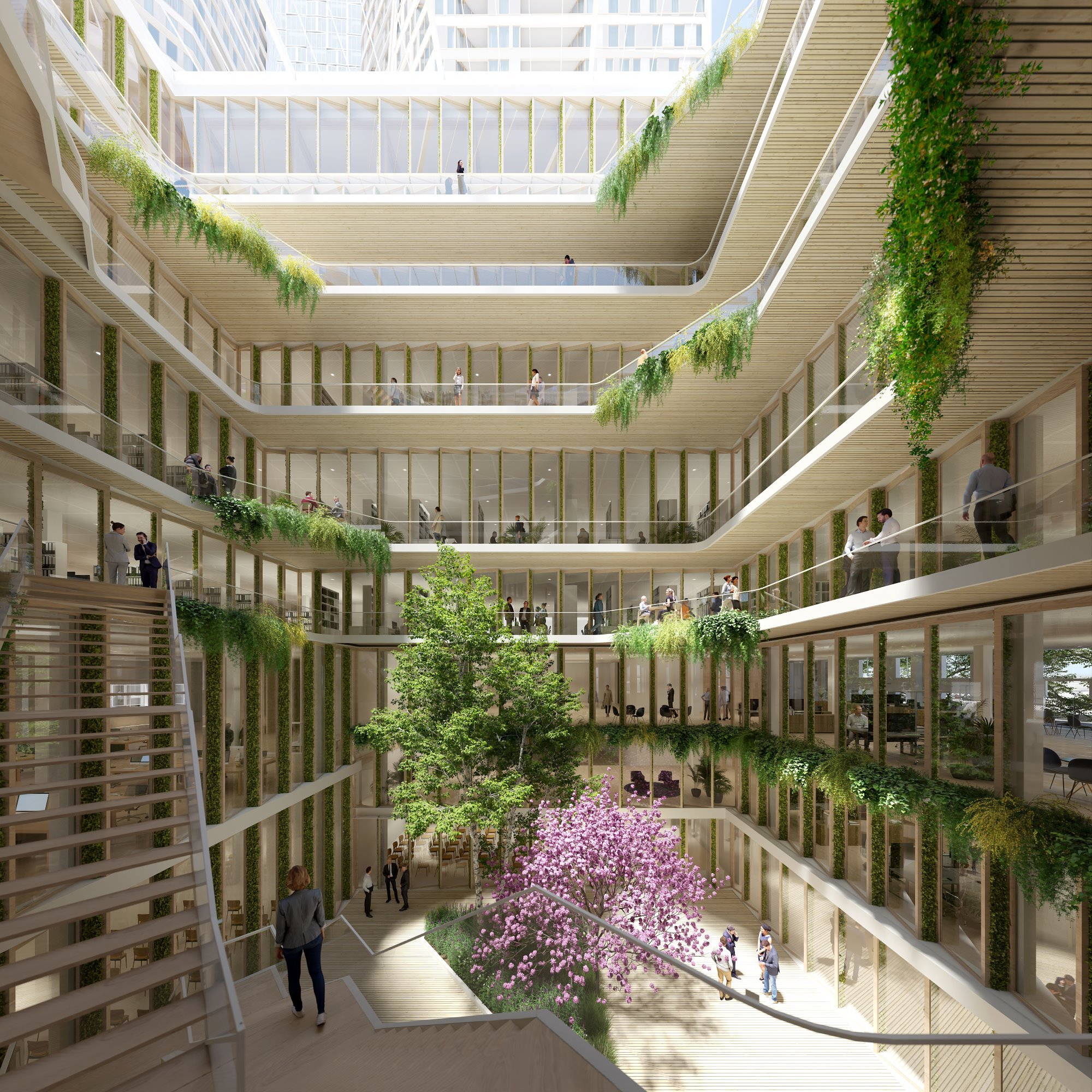 archi2.jpg