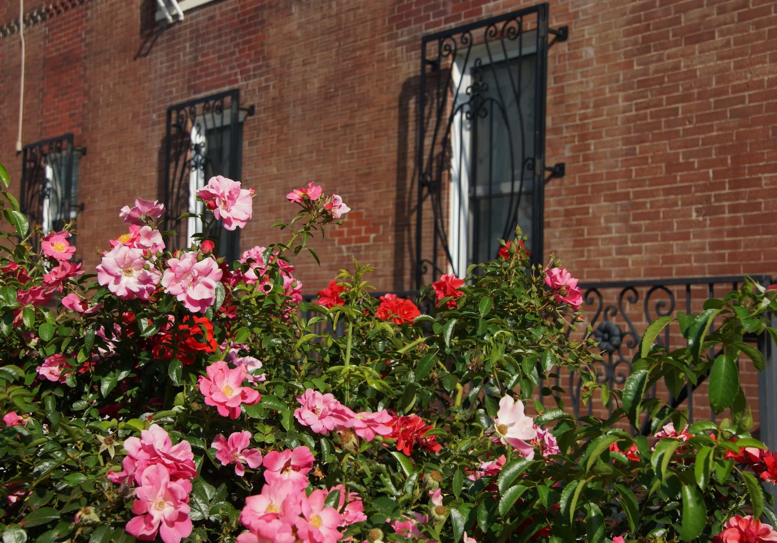 South flowers window grille work Lyndale.jpg