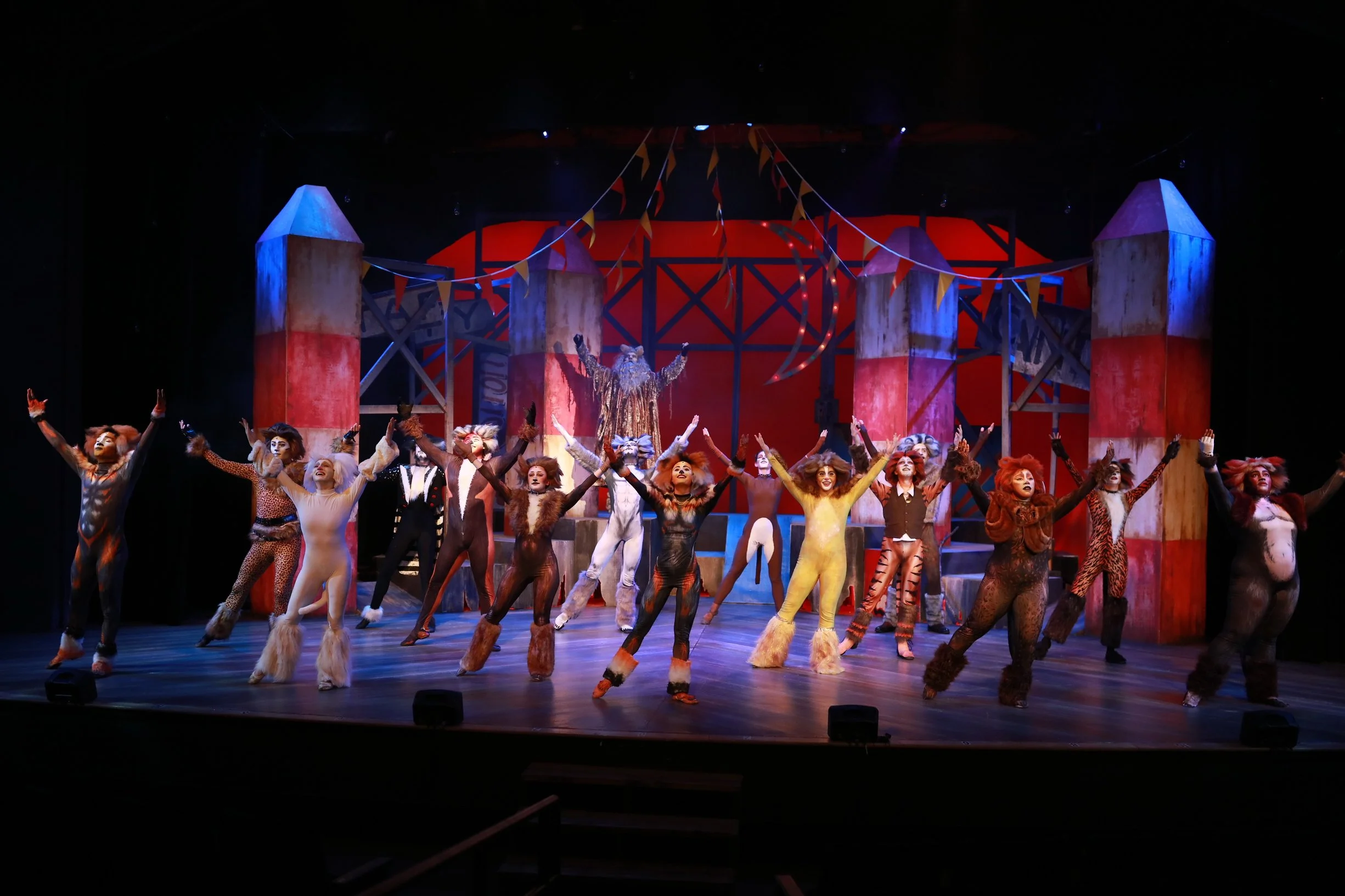 CATS, Director Choreographer, North County Center for The Arts