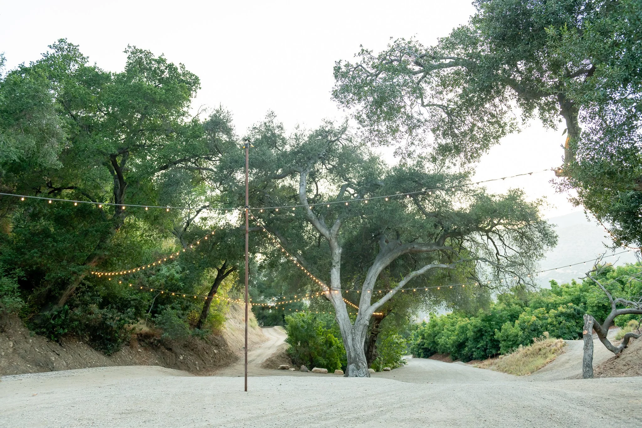 Tree-lined dirt path with hanging string lights and a flagpole in a natural outdoor setting, overcast sky.