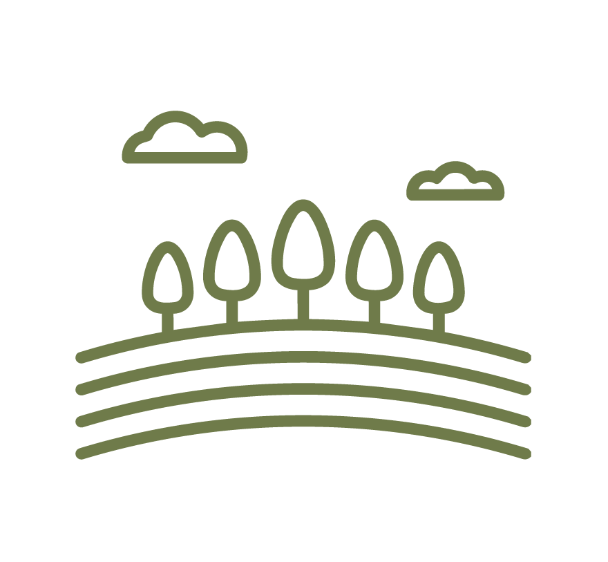 Simple line drawing of a landscape with five trees on a hill, two clouds in the sky, and curved lines representing fields or layers of land.