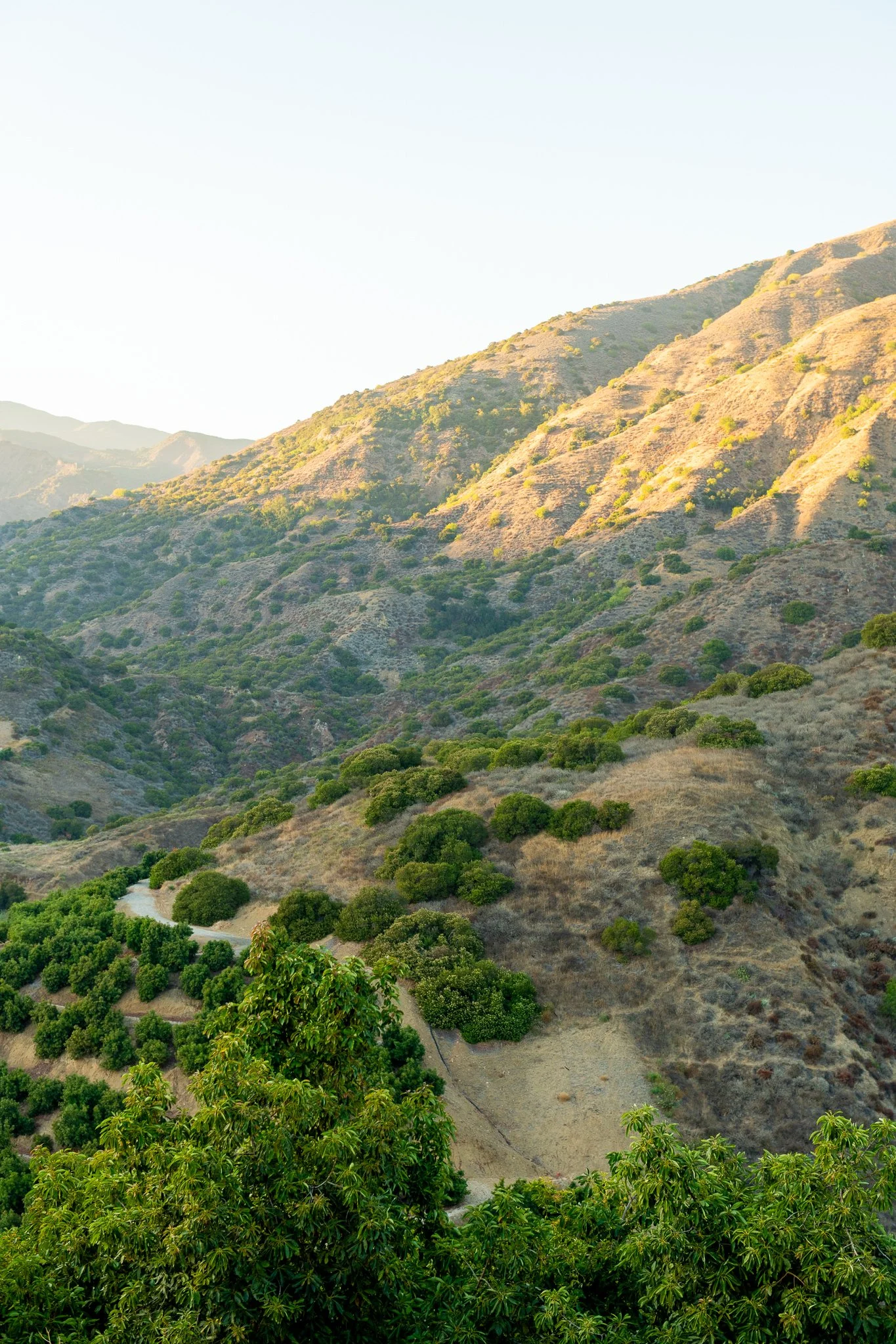 Hilly landscape with green trees and dry terrain, winding dirt path, hills in distance under clear sky.