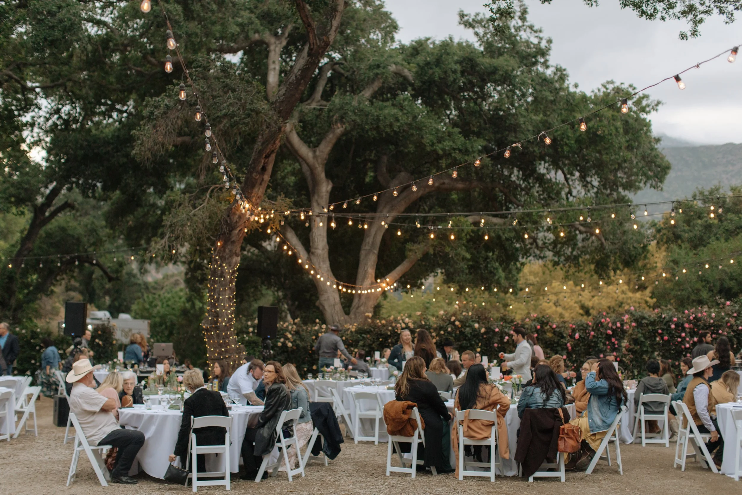 An outdoor gathering with many people seated at tables under large trees decorated with string lights during the evening.
