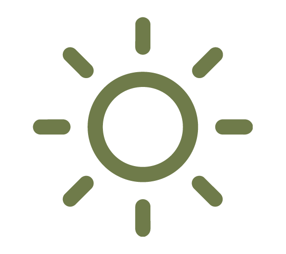 Icon of a sun with rays radiating outward