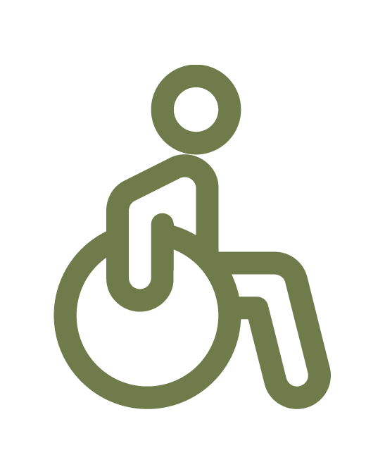 Icon of a person in a wheelchair