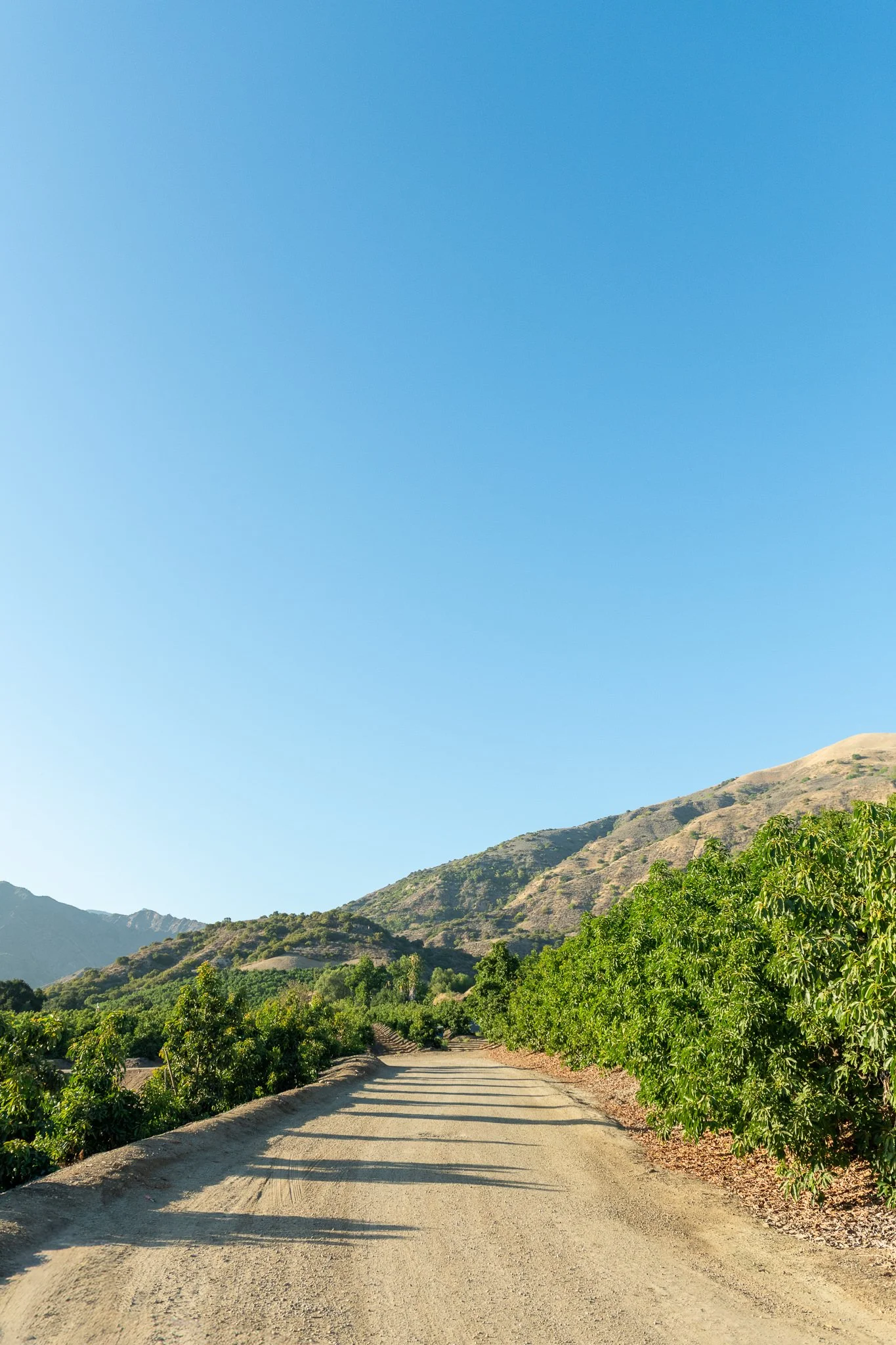 A dirt road in a mountainous landscape with green bushes and trees along the sides, hills and mountains in the background, and a clear blue sky overhead.