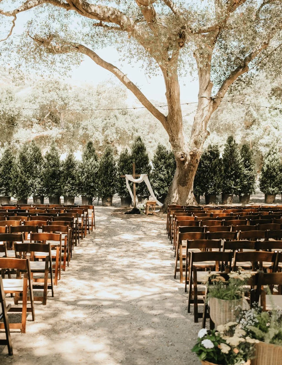 wedding3.jpg