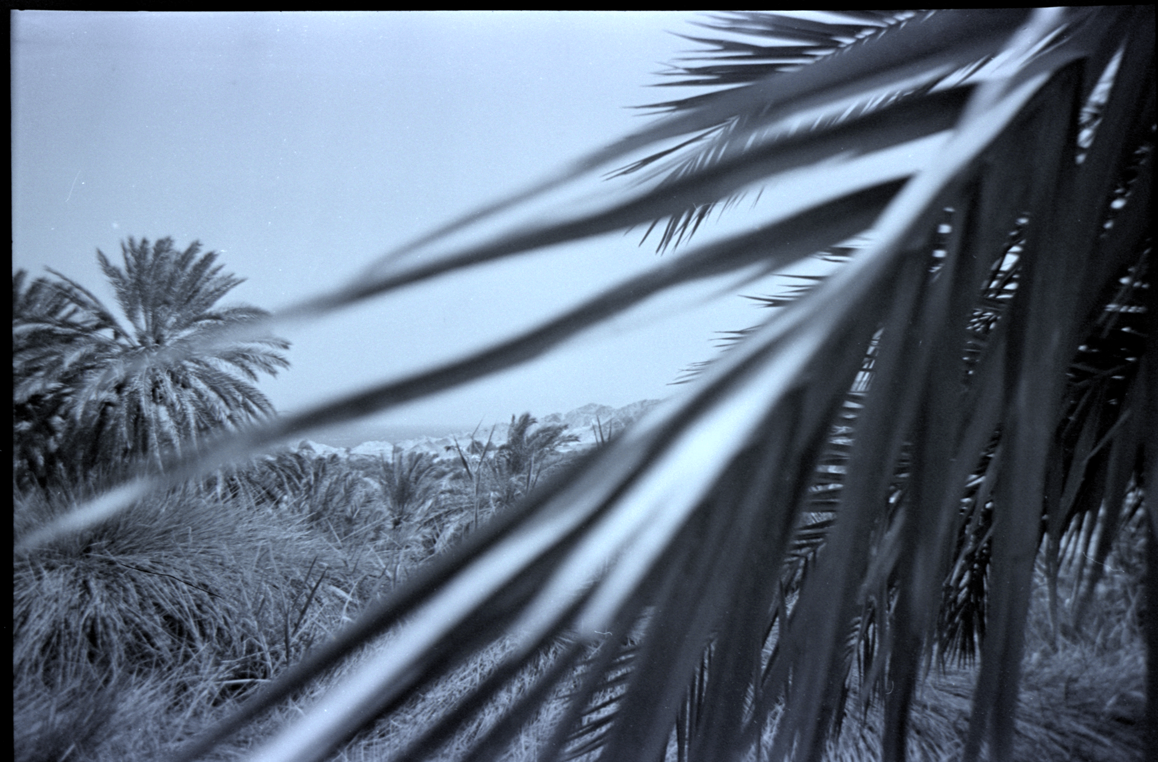 2020-06-07-05 (1).png