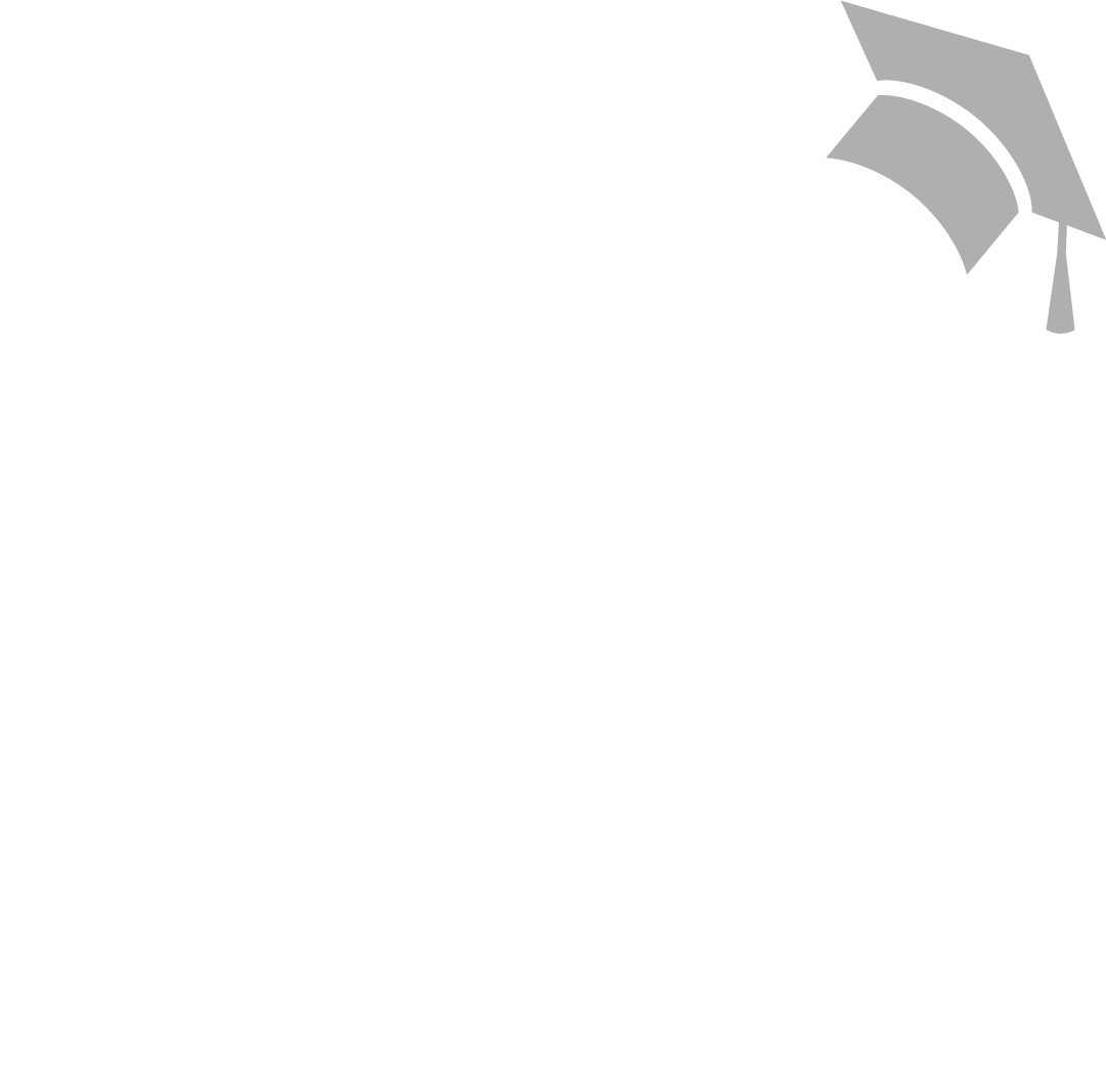 Professor Roberto Martins