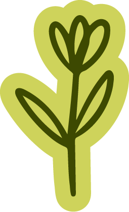A simple, stylized drawing of a green flower with leaves and a heart-shaped outline.