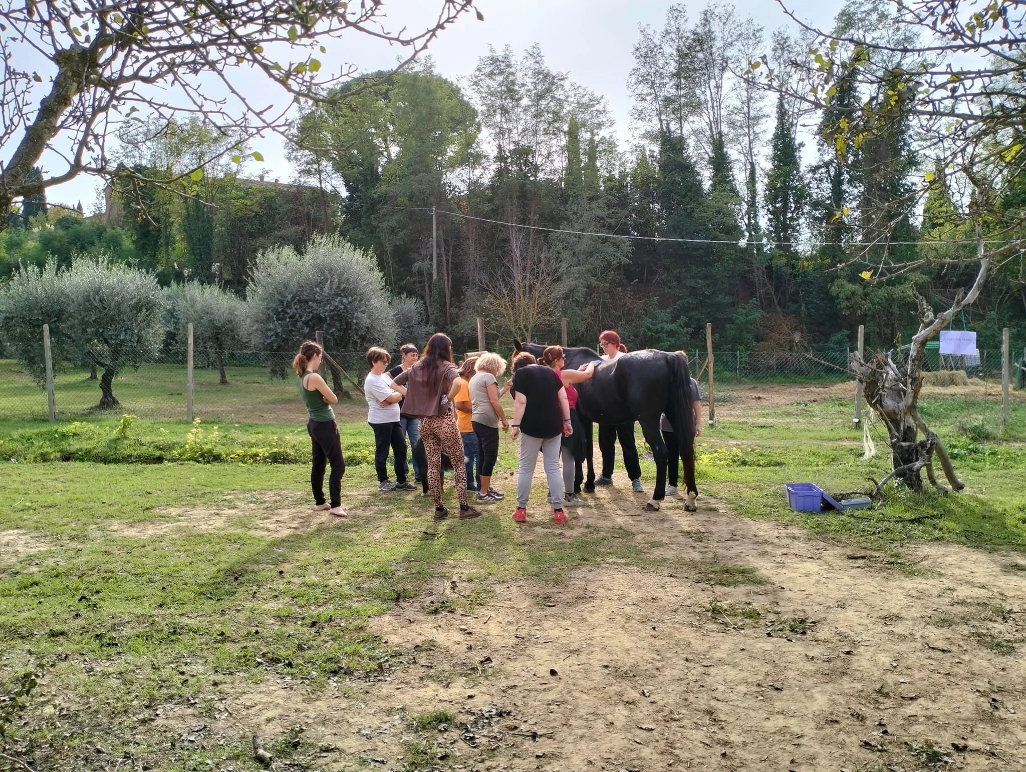 Formazione mediatori intespecie