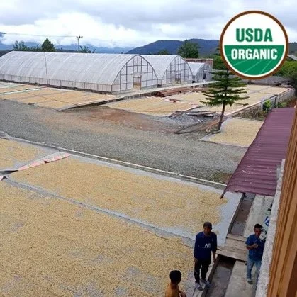 Sumatra Koperasi Organic Gayo