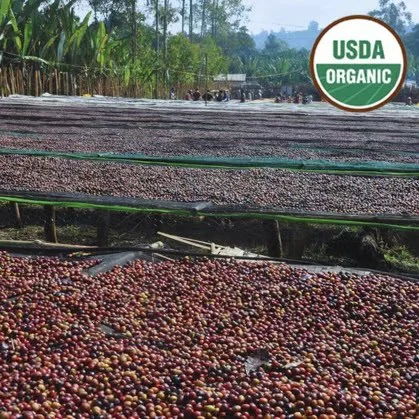 Ethiopia Organic Yirgacheffe Chelchele Natural