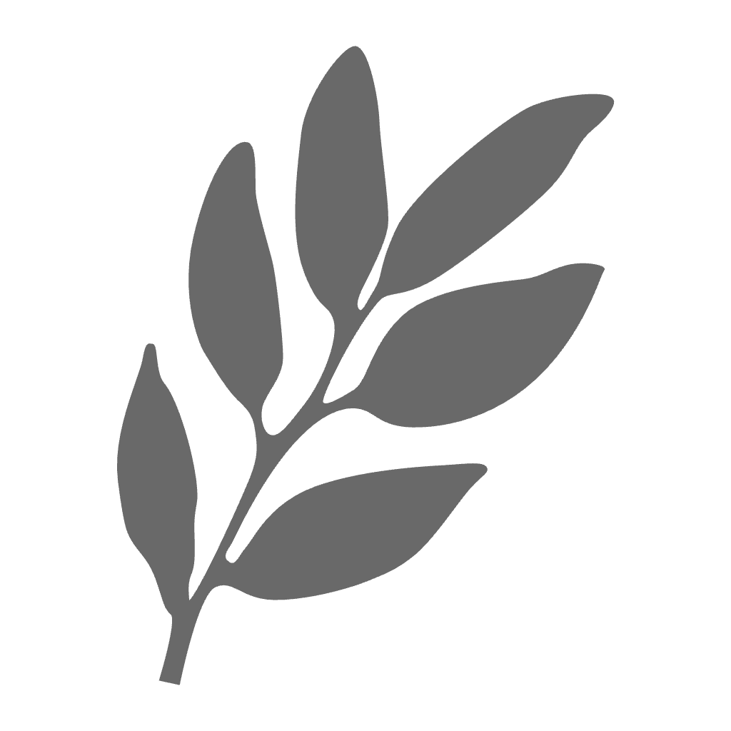 Gray illustration of a leafy branch with multiple leaves.
