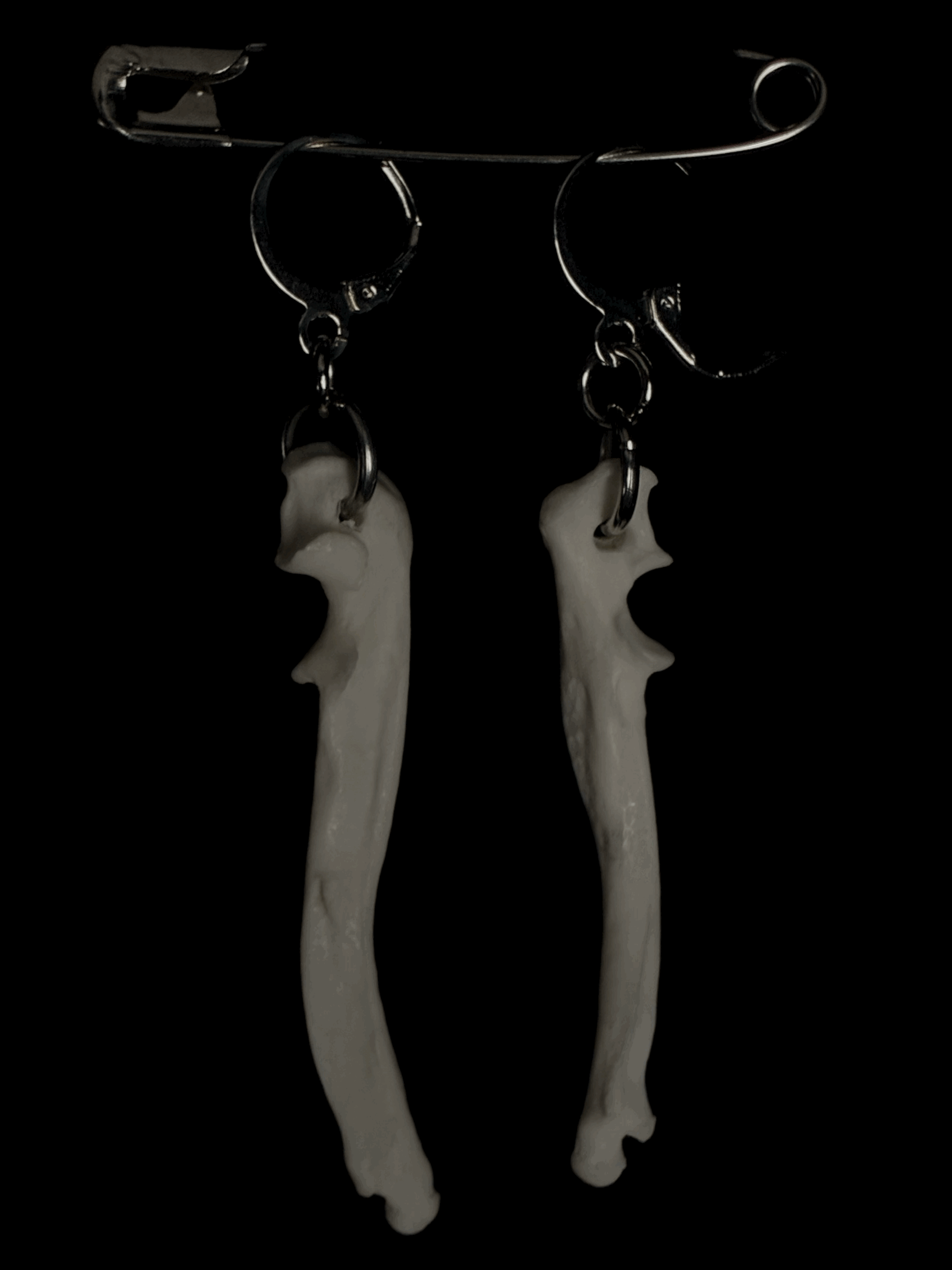 burial bones