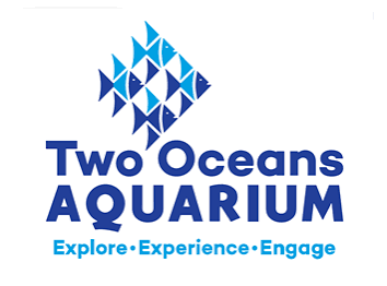 Two Oceans Aquarium