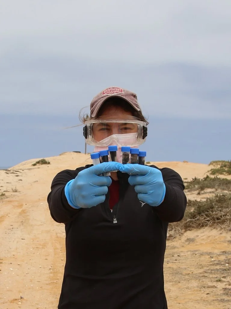 MSc student Charlotte Spanjaard showing a set of biological samples collected from Kleinsee seal colony