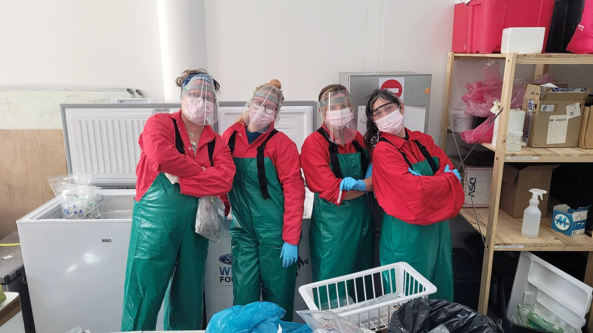 Four #womeninscience wearing full PPE as they sort through biological samples