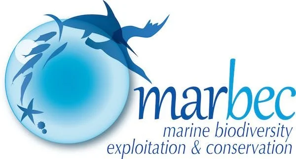 Logo for Marbec, a marine biodiversity, exploitation, and conservation organization, featuring a stylized blue globe with marine animals like fish, a shark, and a starfish, alongside the text 'marbec'.
