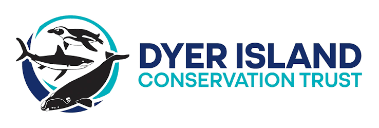 Dyer Island Conservation Trust