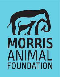 Logo of Morris Animal Foundation featuring a silhouette of a dog and a cat with the foundation's name below on a blue background.