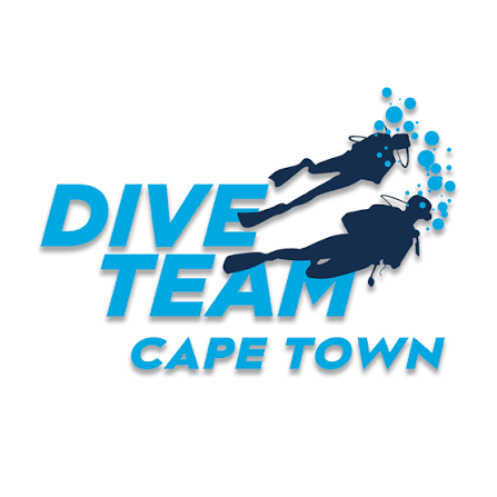 Logo of Dive Team Cape Town featuring two scuba divers swimming with bubbles.