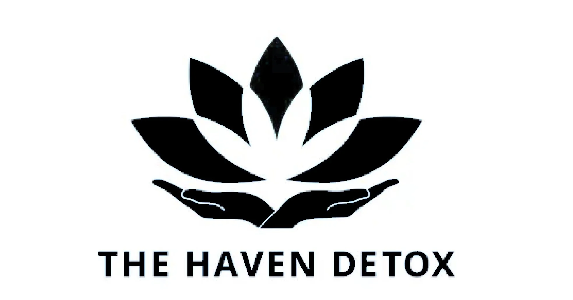 Haven Detox Logo
