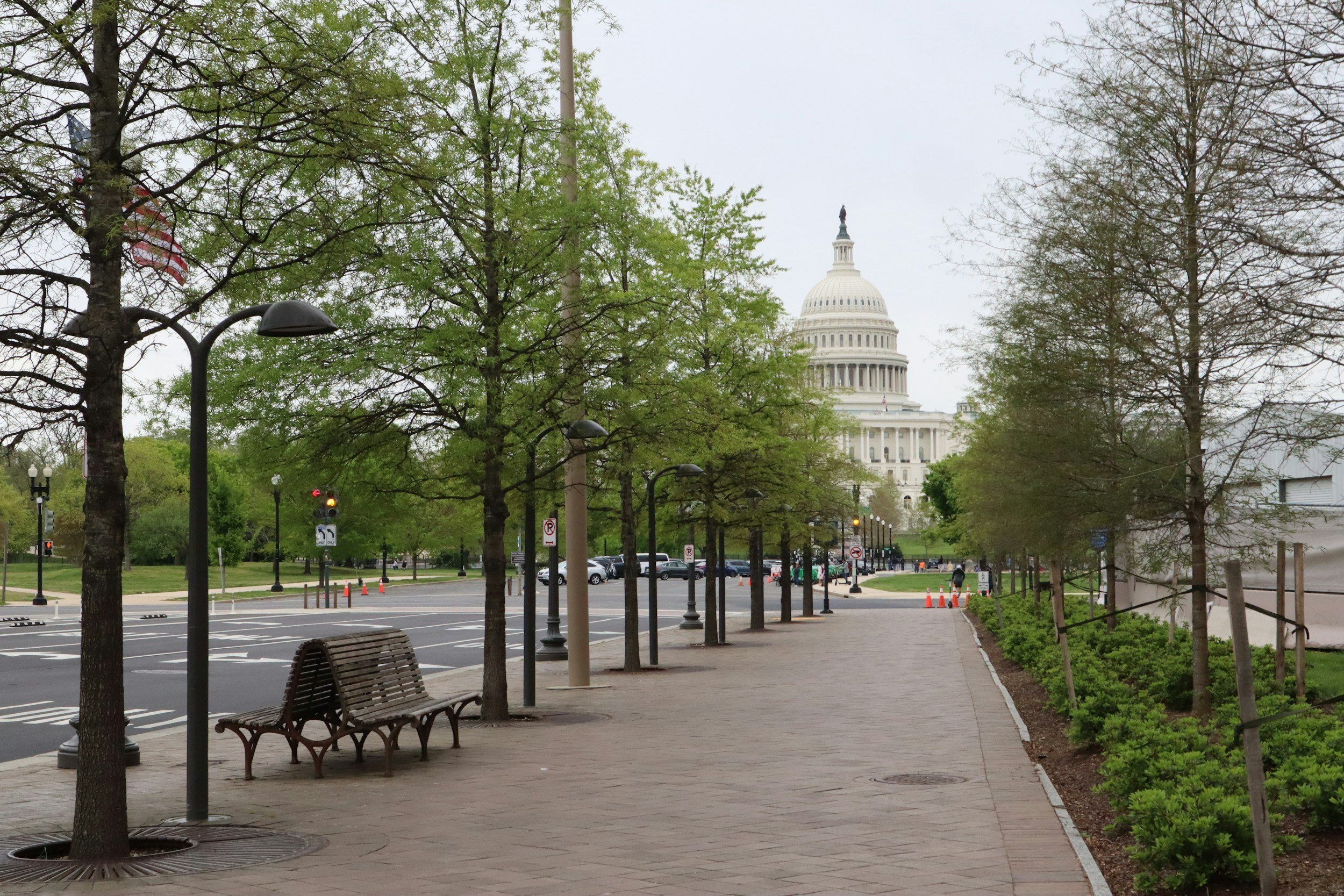 View of the U.S. Capitol building partly obscured by trees in a park, with a paved walkway, benches, and street lamps in the foreground.