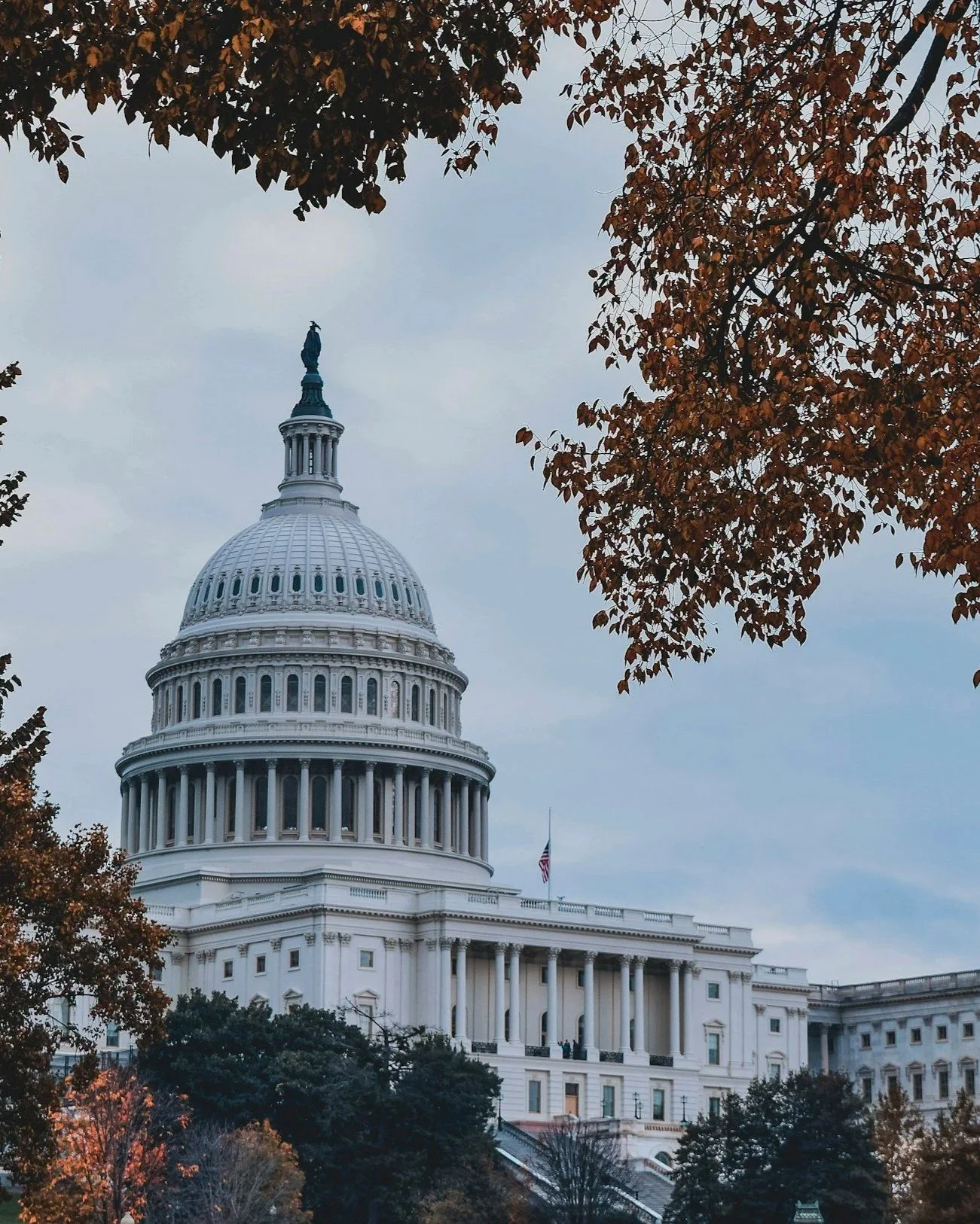 The United States Capitol building in Washington D.C., with a dome and a statue on top, framed by autumn-colored trees and an overcast sky.