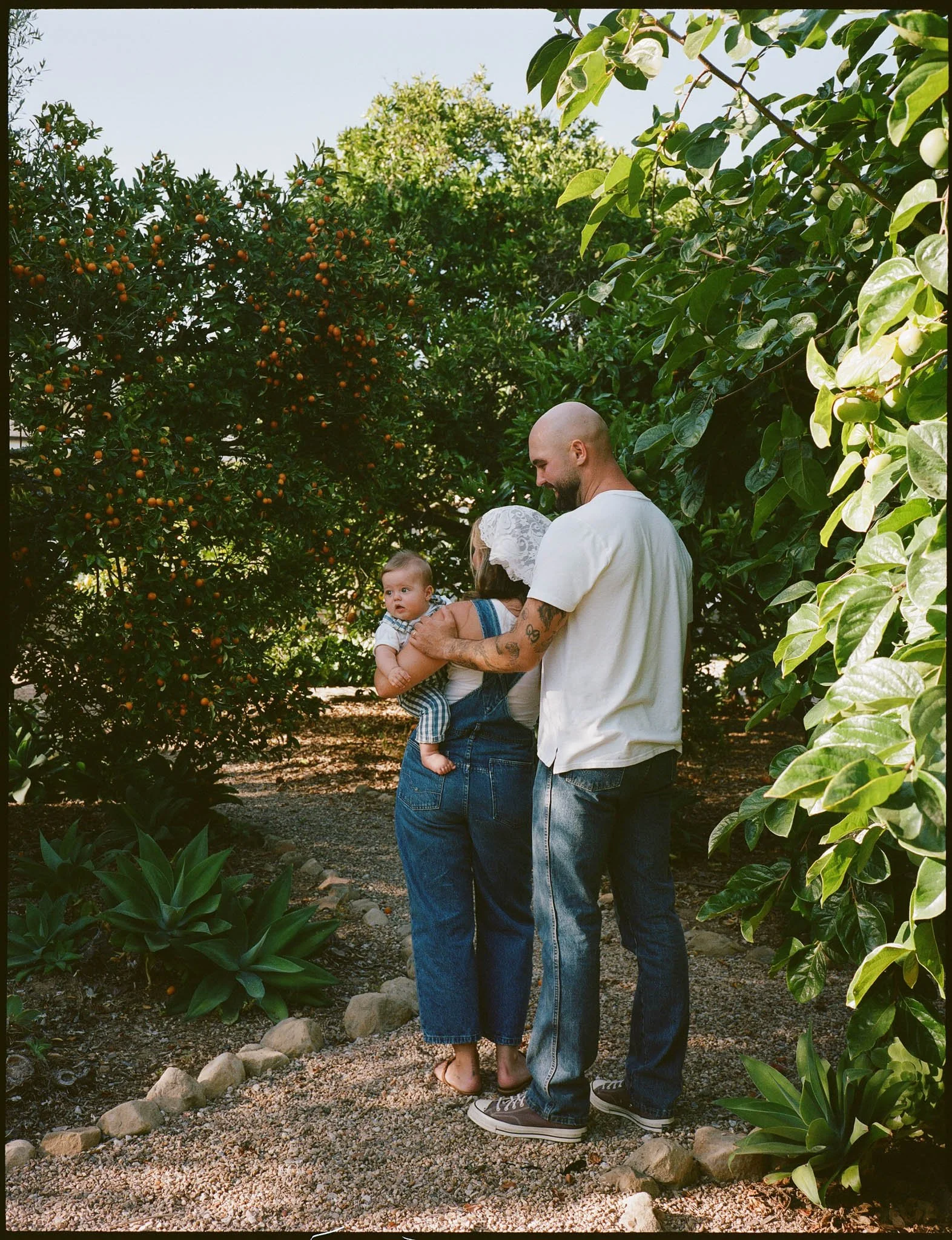 Families