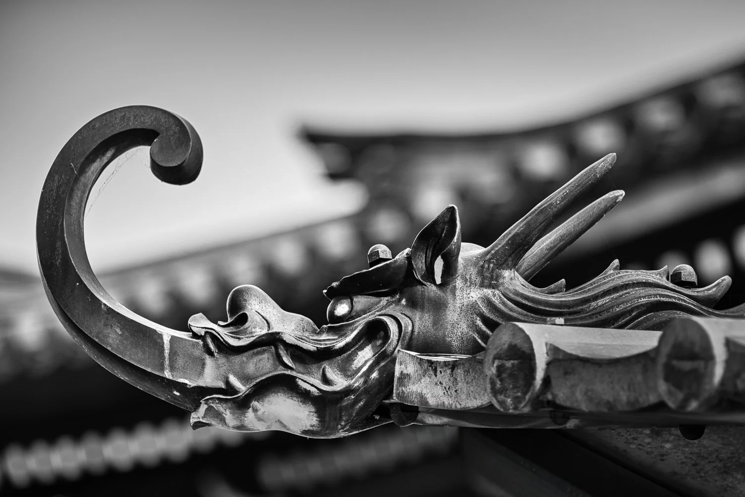 Roof Dragon - Kyoto, Japan