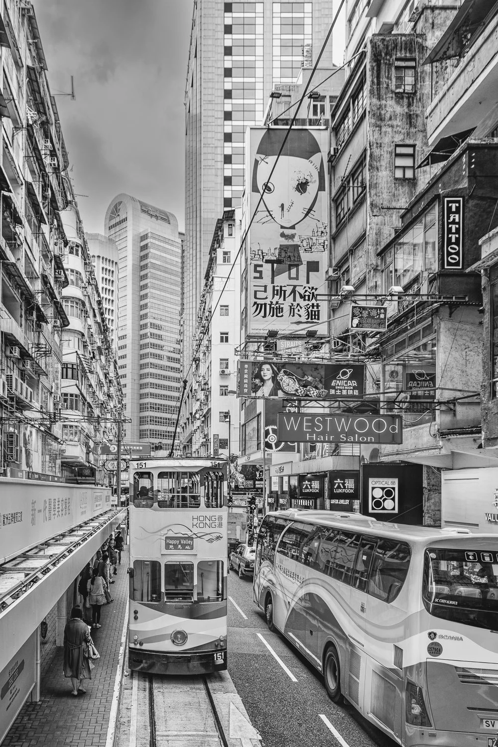 DSC_9700-Edit-2.jpg