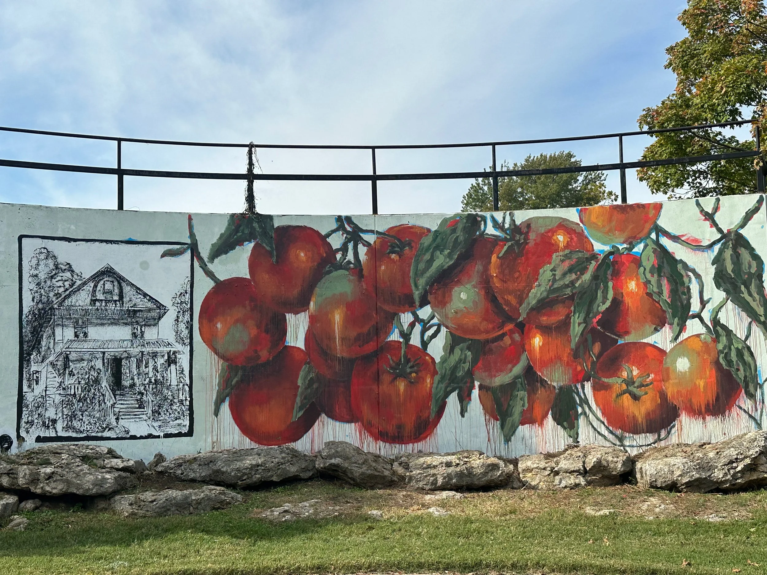 A painted mural on a wall depicts a cluster of red and orange tomatoes with green leaves and vines. The mural includes a black and white sketch of a building with trees around it, located on the left side of the wall. The top of the wall features a b
