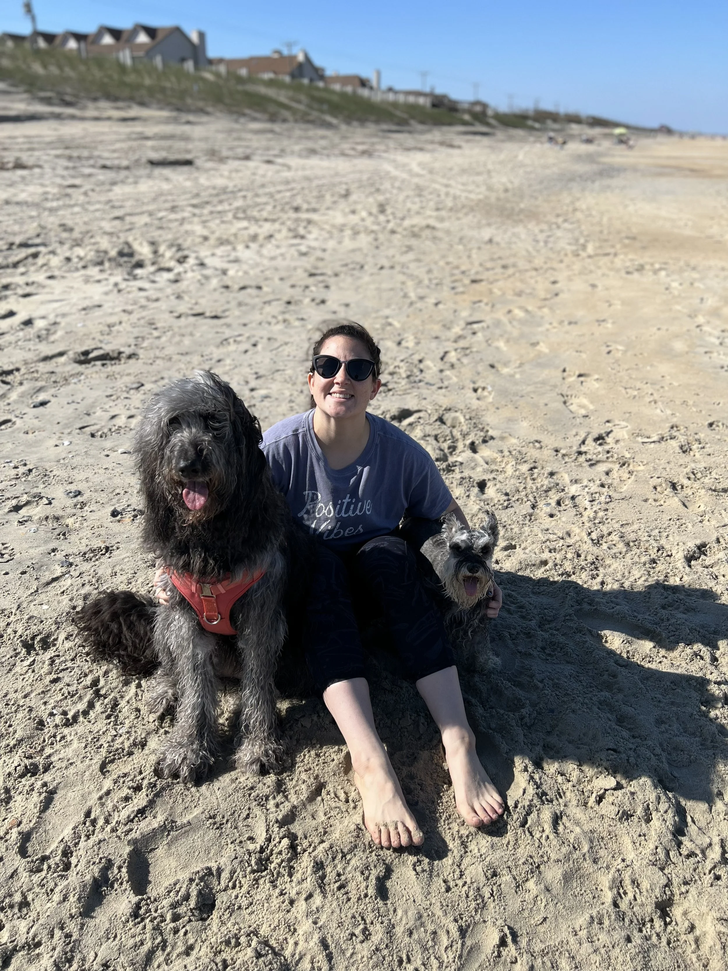 A woman with sunglasses sitting on a sandy beach with two dogs, one large gray and black curly-haired dog and a smaller gray and white dog, with houses in the background under a blue sky.