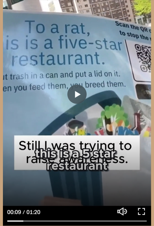 A pamphlet explains that putting trash in a can with a lid helps prevent rats, describing a five-star restaurant as one that properly manages waste.