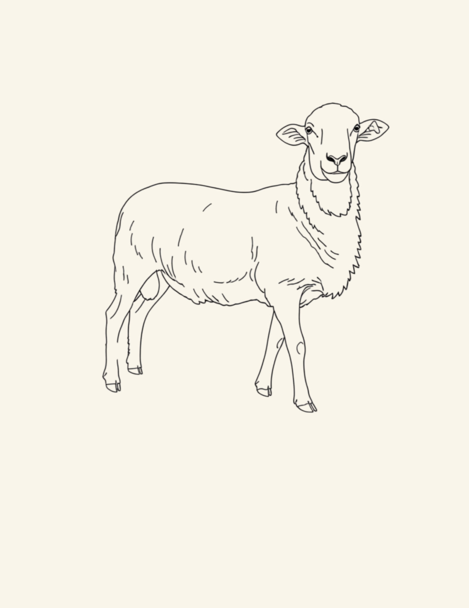 sheep SHOP TEMPLATE.png