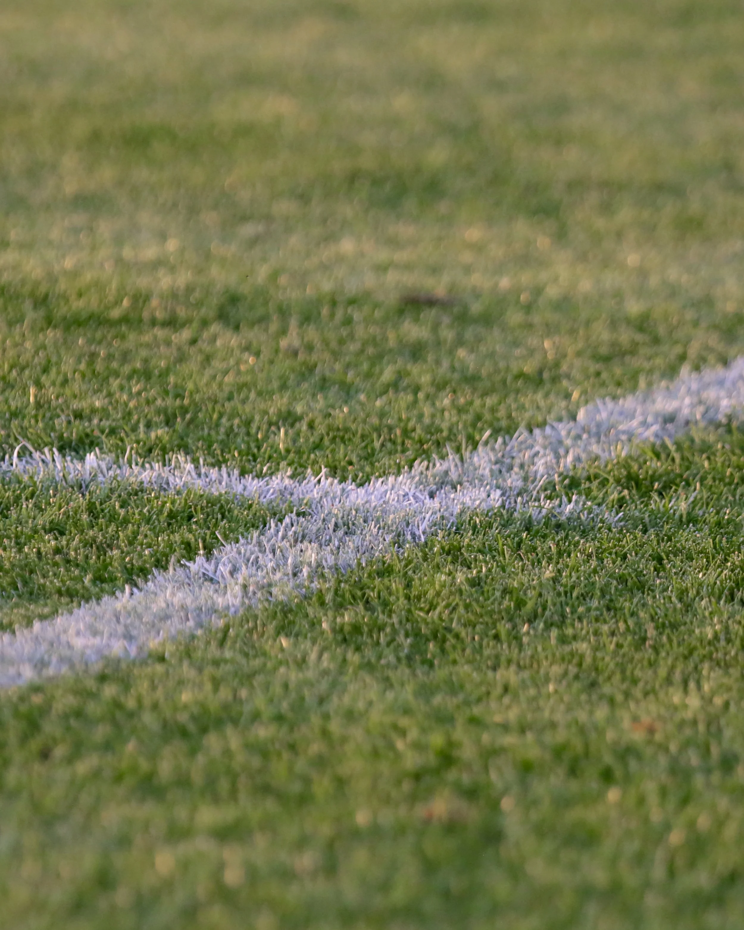 IMG_3018.jpeg