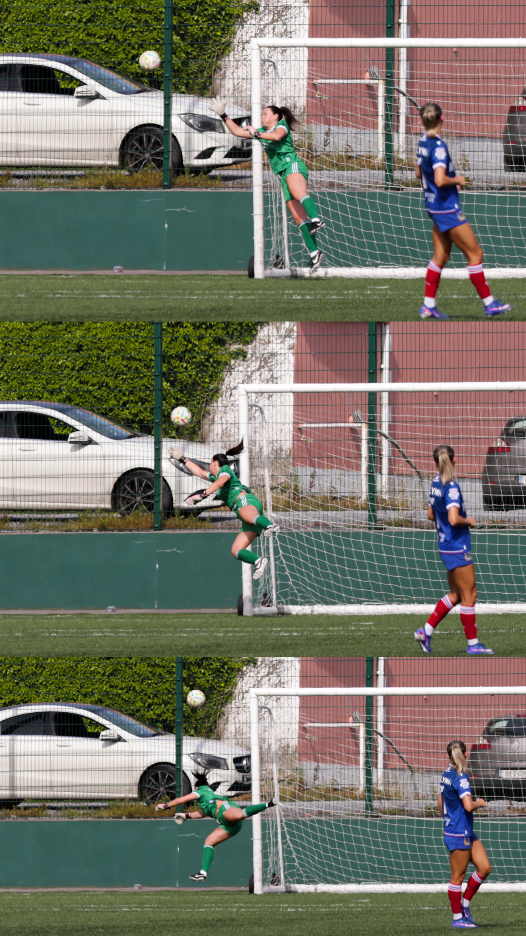 IMG_1661.PNG