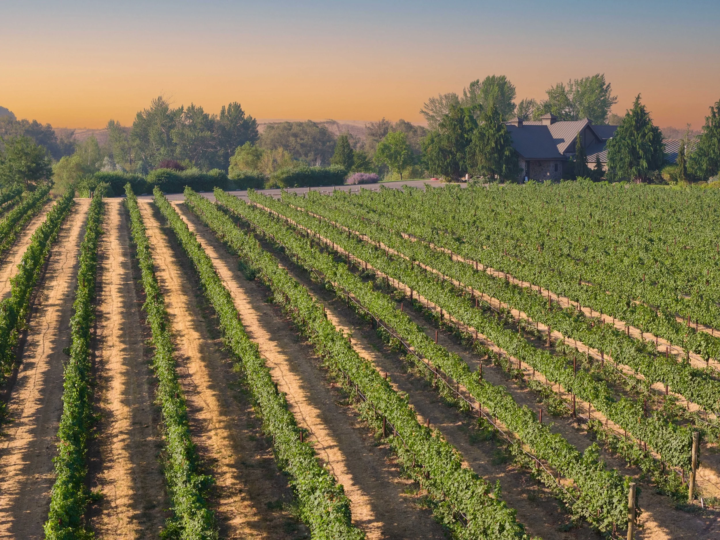 WW winery1.jpg