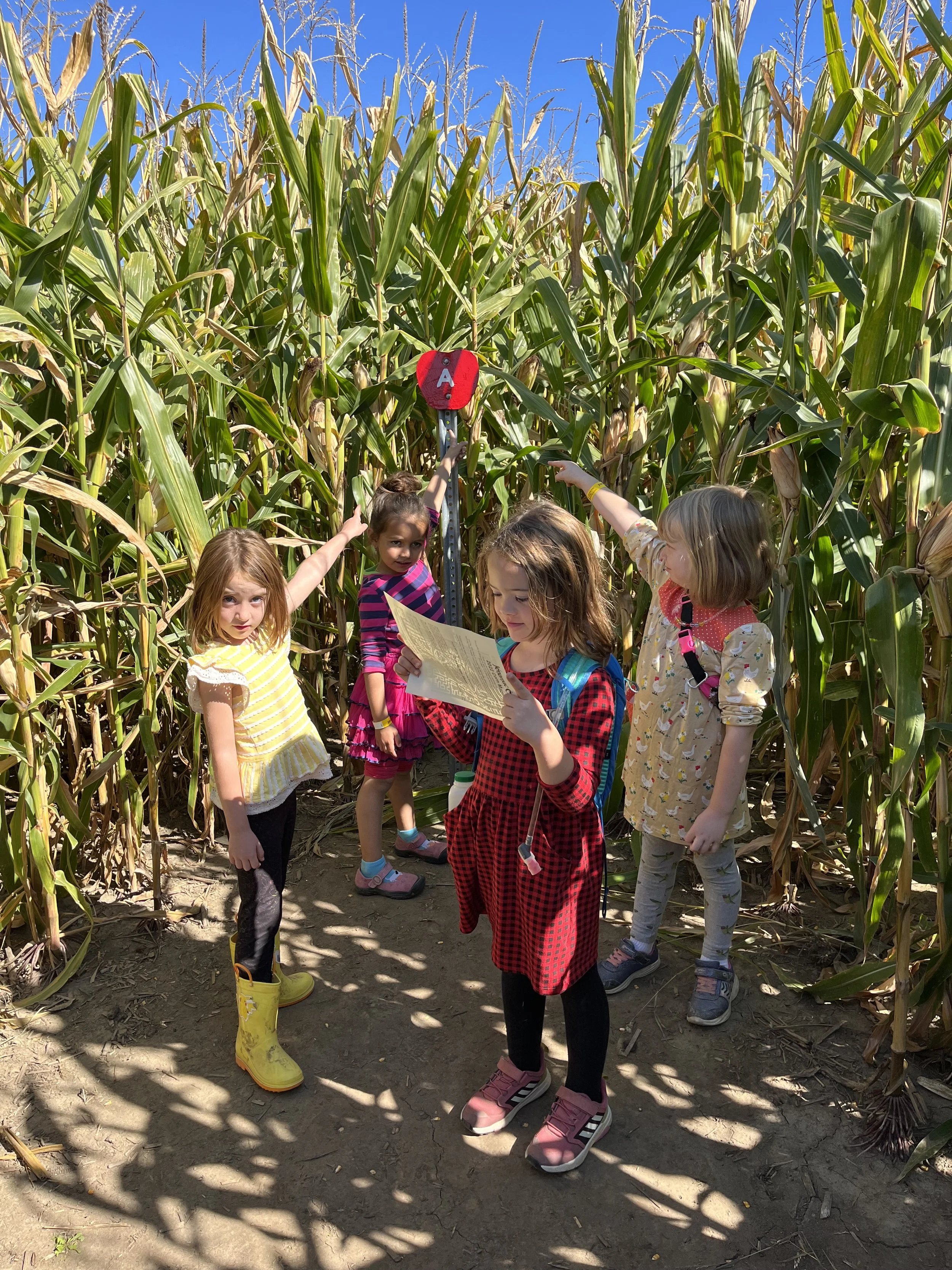 Jonomac Orchard
