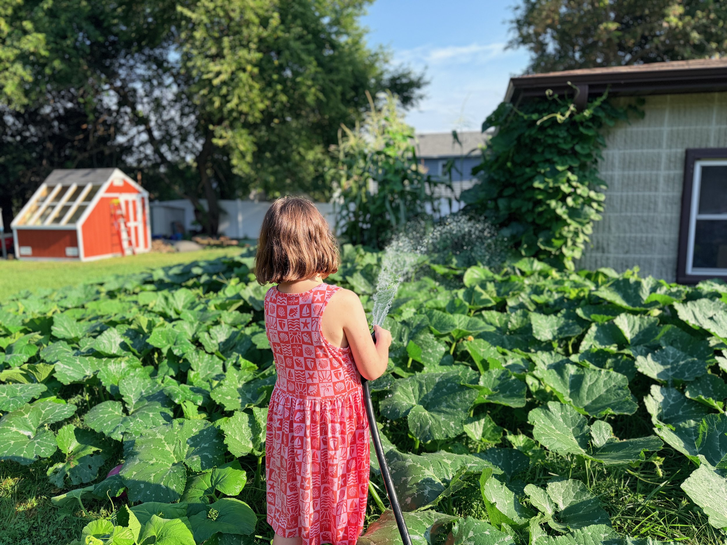 Young girl with brown hair in a pink patterned dress watering plants in a lush garden with large green leaves, a small red and white shed, and trees in the background on a sunny day.