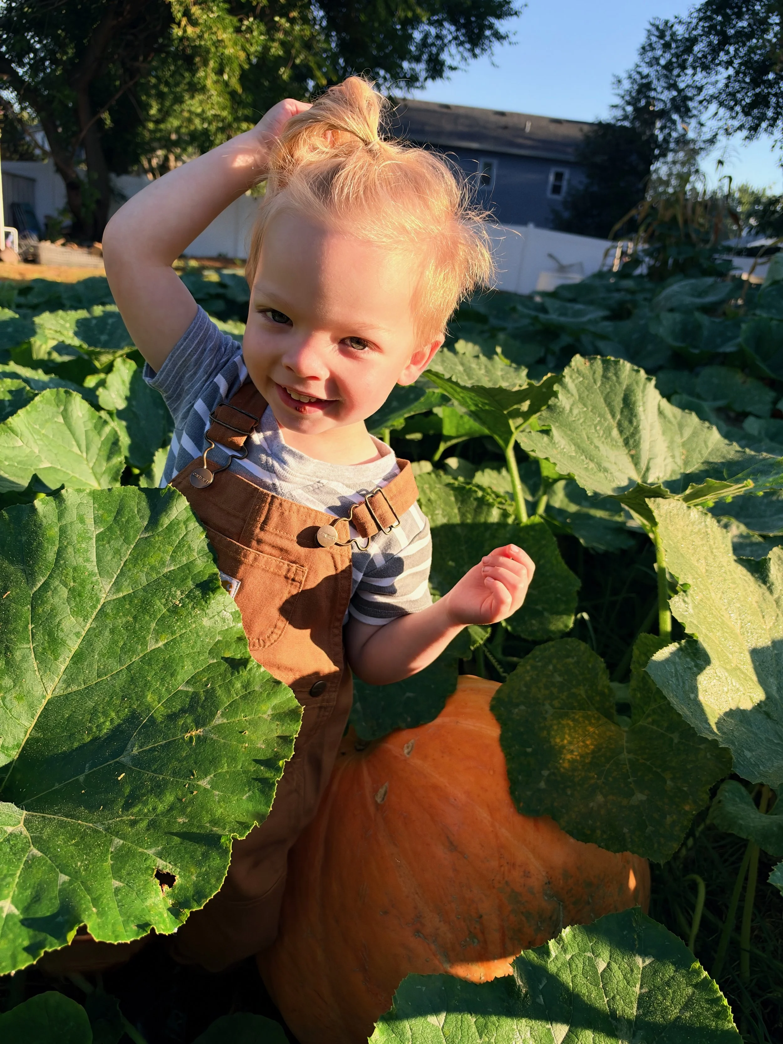 A young boy with blonde hair, wearing a striped shirt and brown overalls, stands in a pumpkin patch surrounded by large green pumpkin leaves and a big orange pumpkin. He is smiling and touching his hair with one hand.