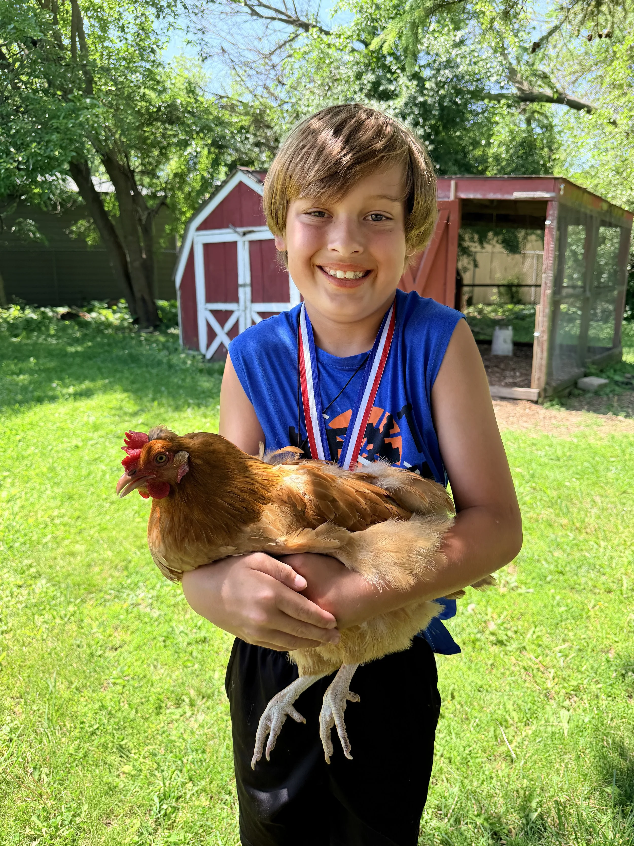 Young boy holding a chicken outdoors in a grassy yard with trees and a red shed in the background.
