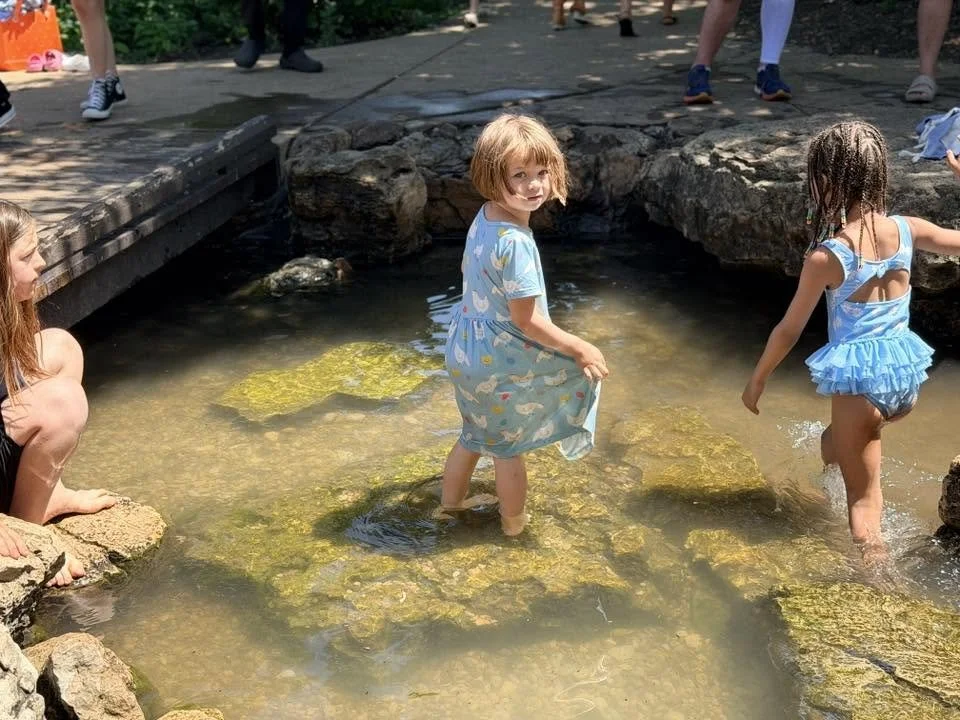 Three young girls playing in a shallow rocky pond outdoors, with trees and other people in the background.