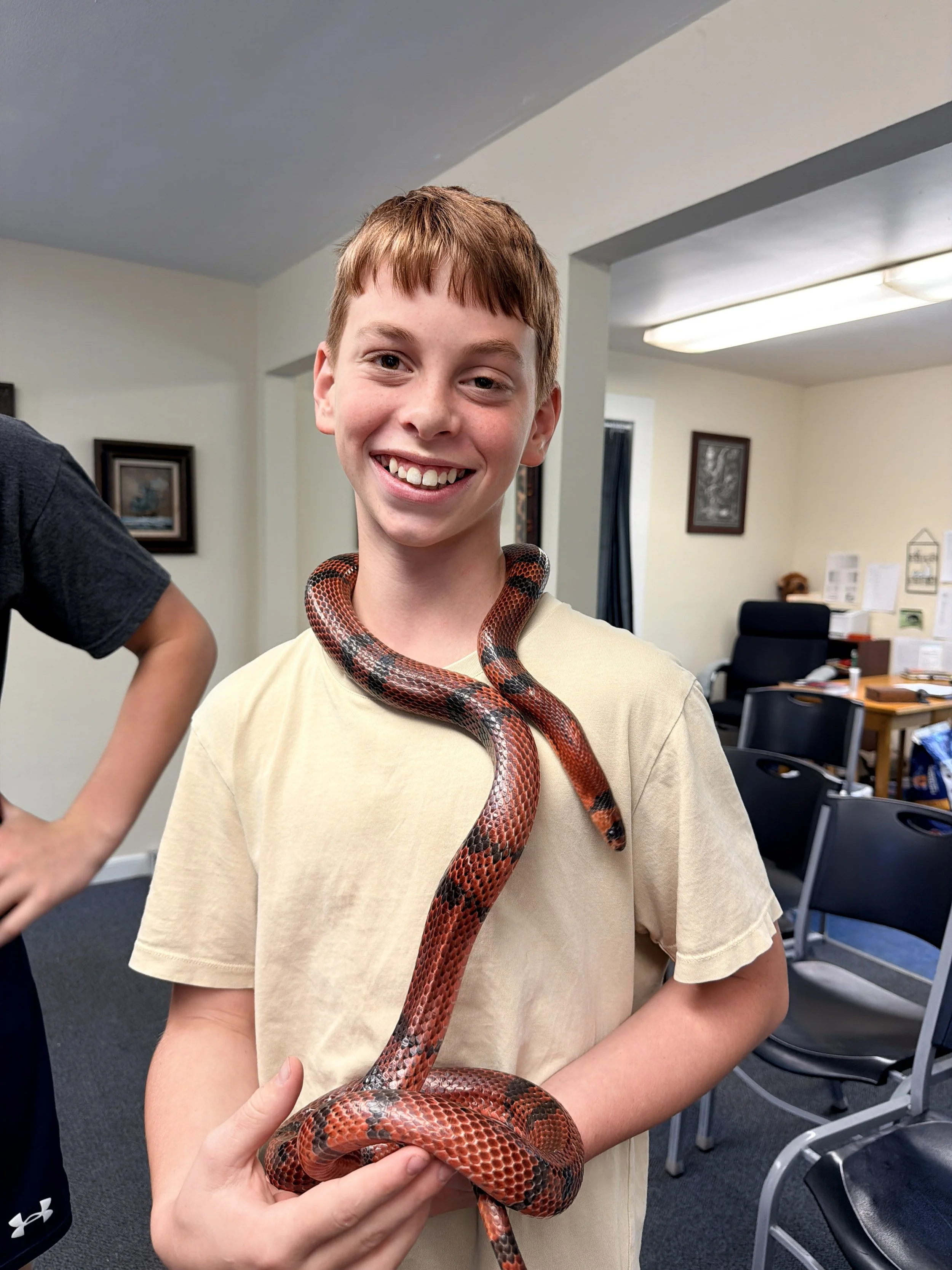 A young boy smiling with a red and black snake draped around his neck and arm, in an indoor setting with chairs and framed pictures on the wall.