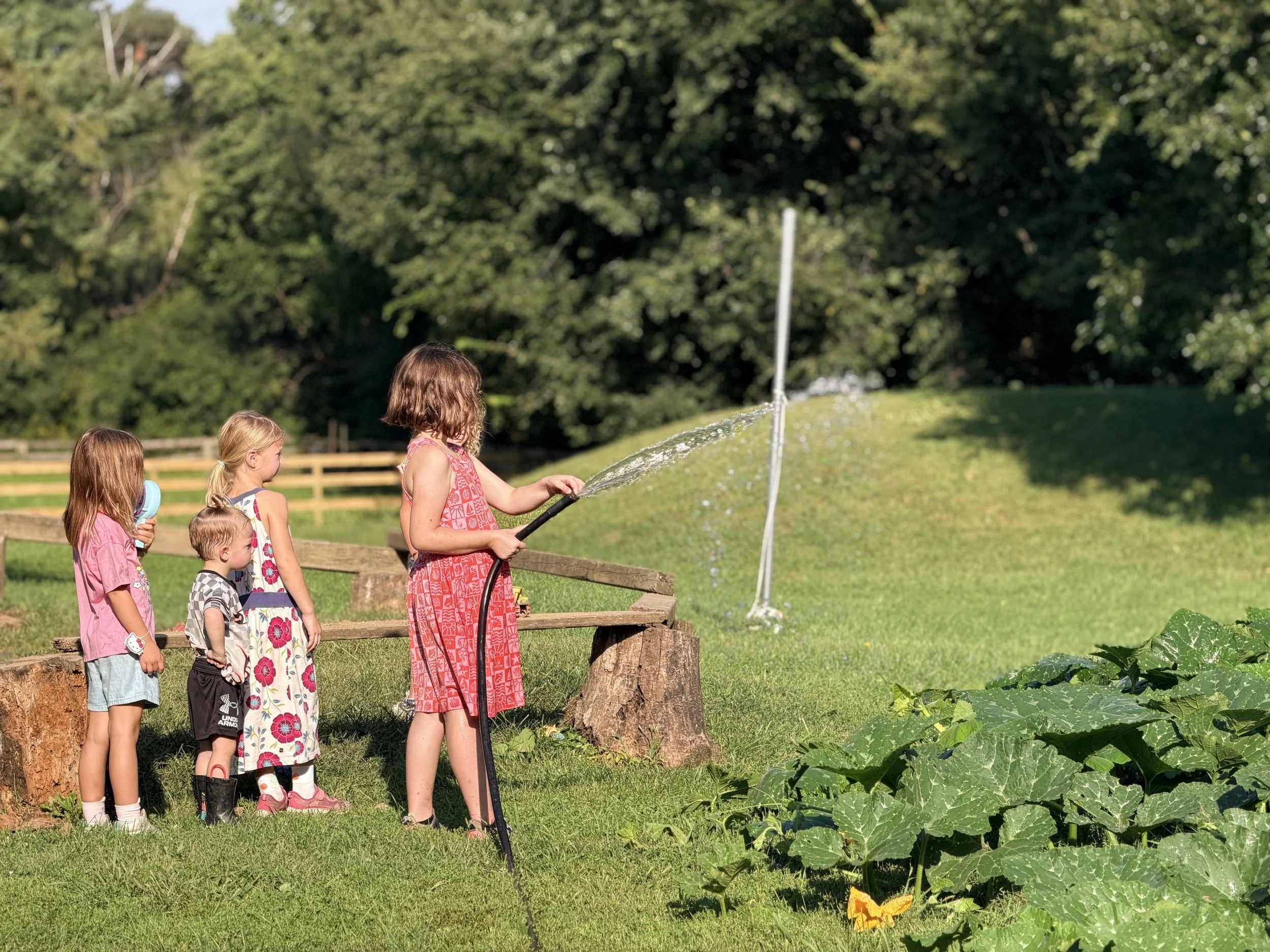 Children gathered outside on grass, watching a girl hold a garden hose and spray water, with trees and a wooden fence in the background.