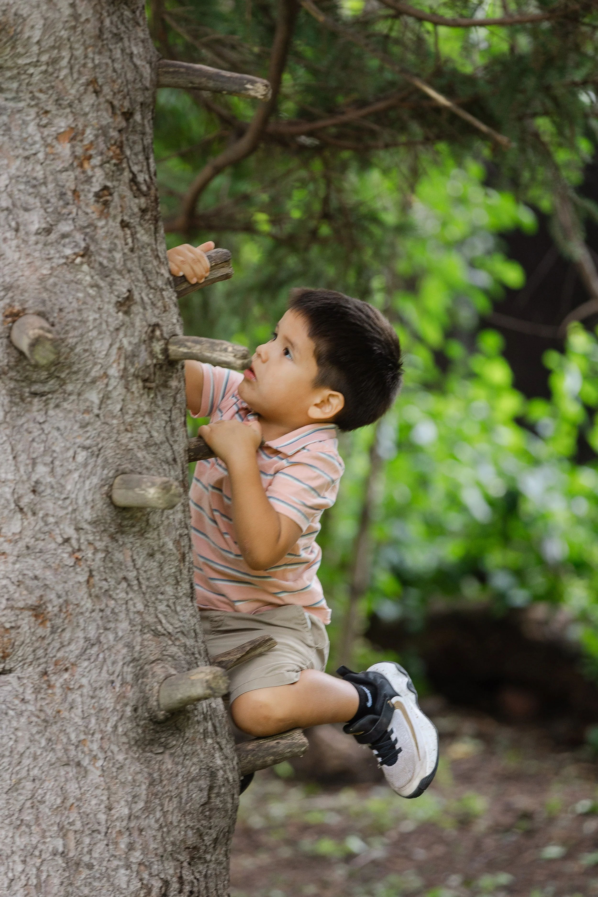 Young boy climbing a tree in a green outdoor setting